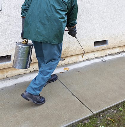 Affordable Pest Control Services: Quality Solutions at a Reasonable Price