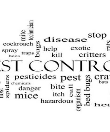 Effective Rat Control Tactics: Pest Management Insights